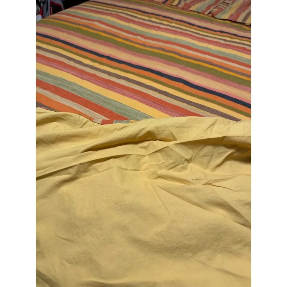 Pottery Barn Foundations Logan Boho Stripe King Duvet Set